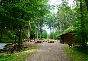 Centre aéré d’été